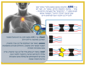 גן מכון ויצמן