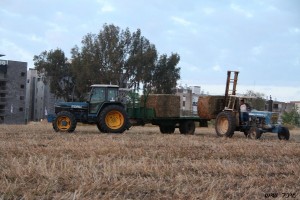 913981_493698737362687_724750750_o