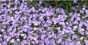 20150514_103214 - עותק