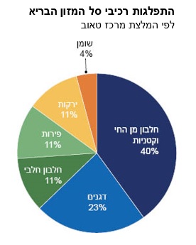 התפלגות-רכיבי-סל-המזון-הבריא-2