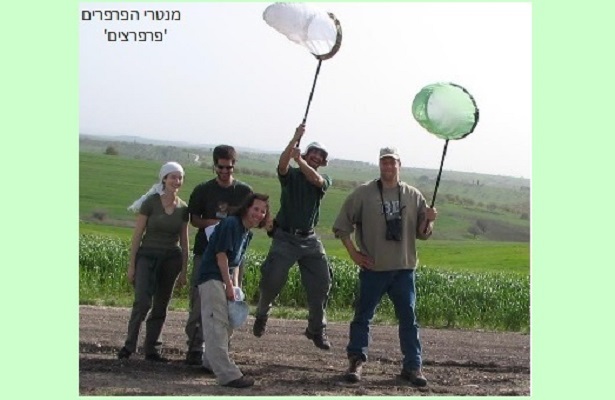 ‏‏מנטרי הפרפרים פרפרצים - עותק (2)